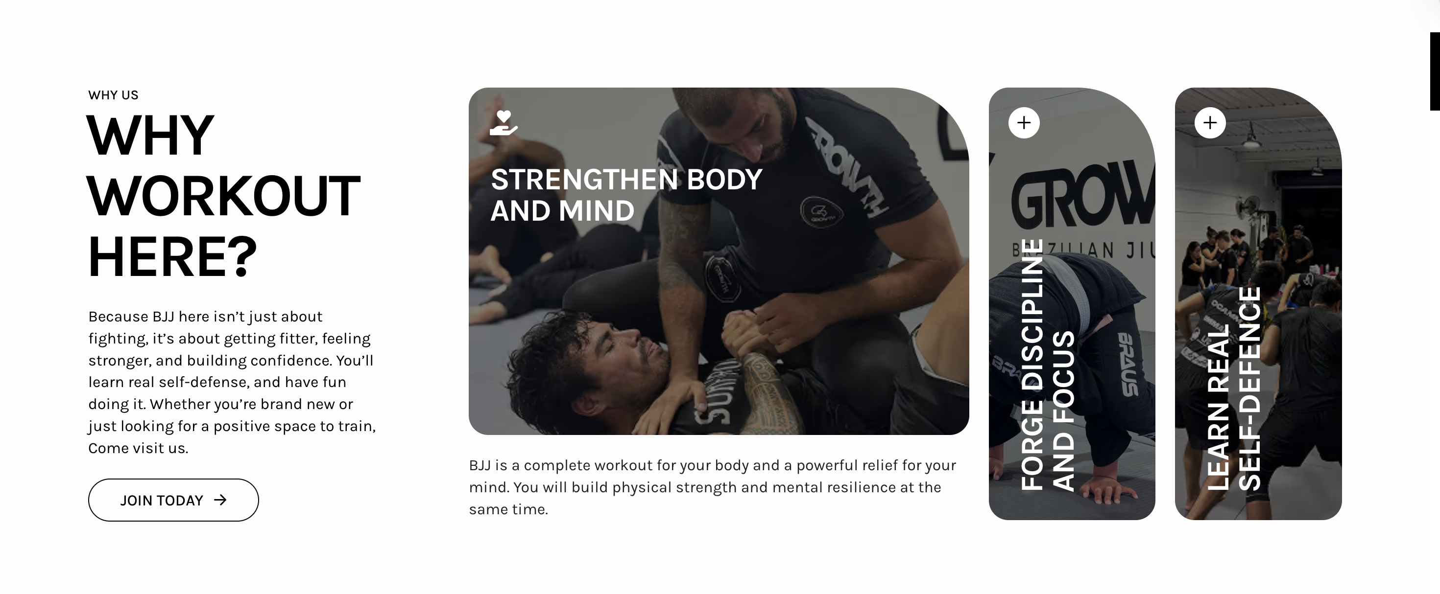 Growth BJJ — feature